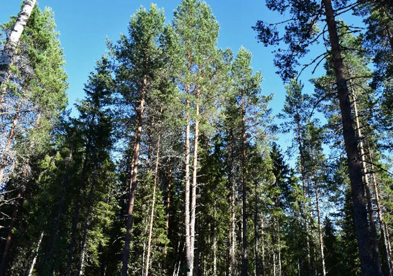 Sustainablity
